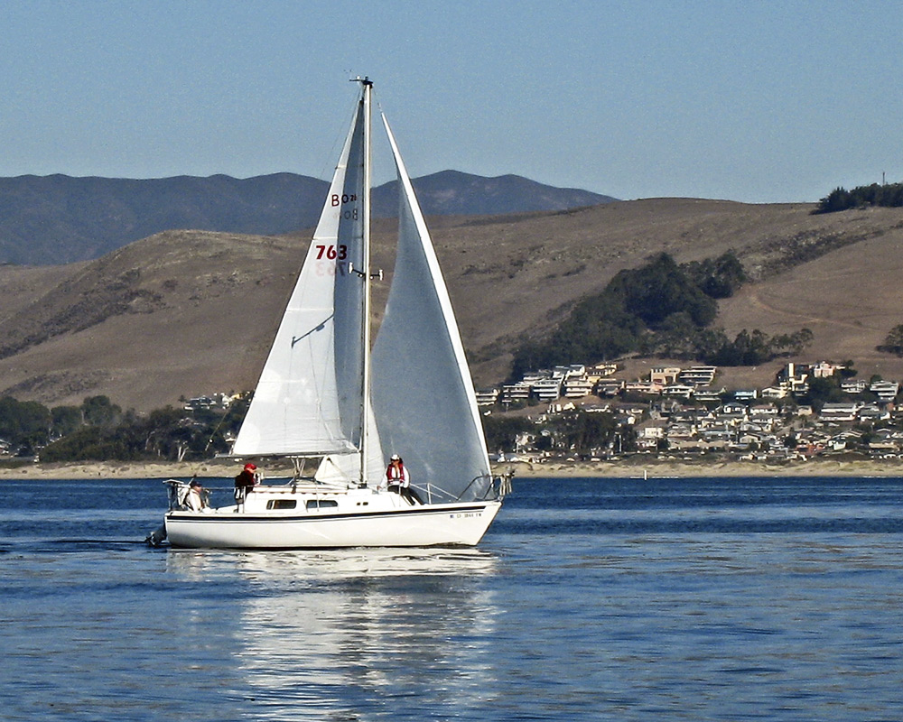 if 26 sailboat